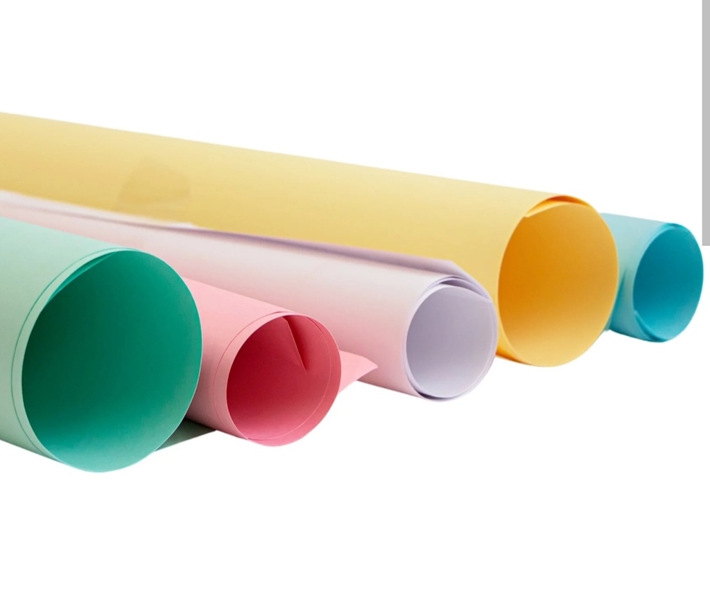 Cartulina pliego 25 u colores