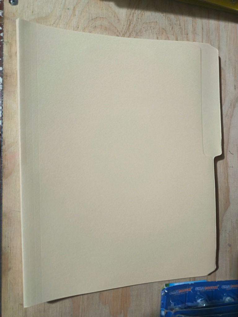 Folder corriente tamaño carta 25 u